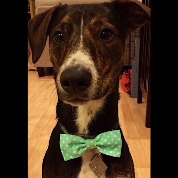 🎉💕HP💕🎉Clip-on bow ties - Picture 2 of 4