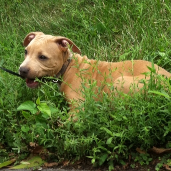 Meet your Posher, Dee - Picture 1 of 1