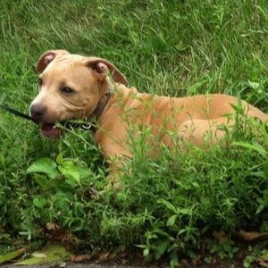 Meet your Posher, Dee