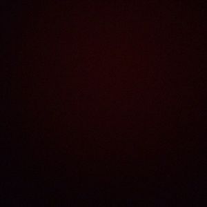 Meet your Posher, Gabby