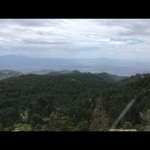 Meet your Posher, Cole