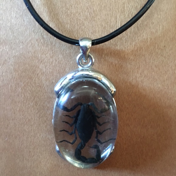Scorpion necklace 🕷