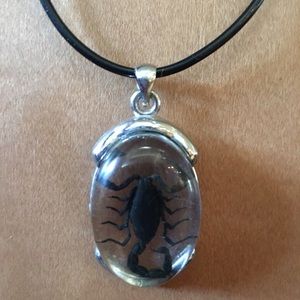 Scorpion necklace 🕷