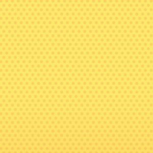 Meet your Posher, Reagan