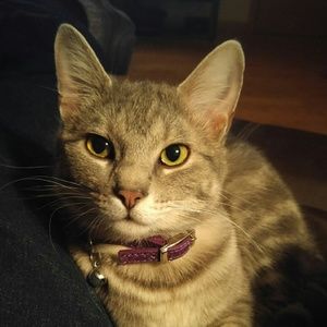 Meet your Posher, Nancy