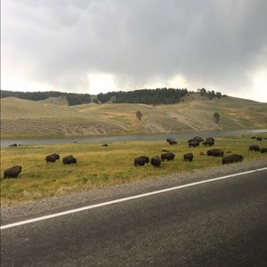 Meet your Posher, Helen