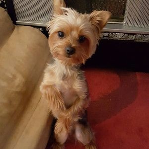 Meet your Posher, Danielle