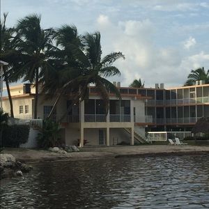 Meet your Posher, Wilma