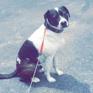 Meet your Posher, Claire