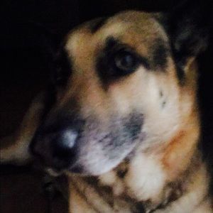 Meet your Posher, Ann