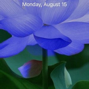 Meet your Posher, Barbara