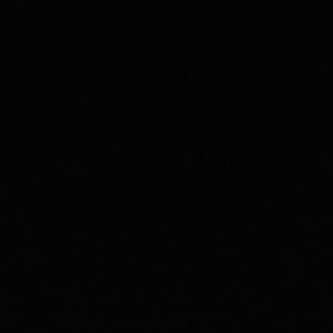 Meet your Posher, Joycelynn