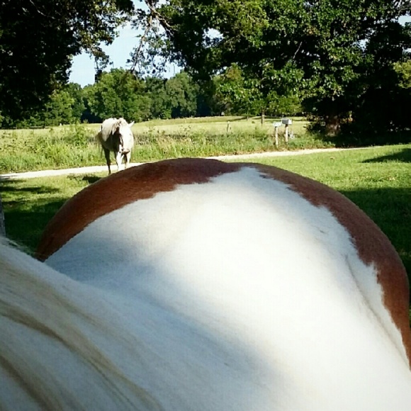 Meet your Posher, Milly Quinn - Picture 2 of 3