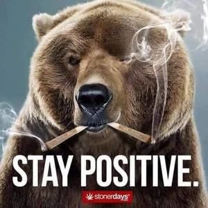 Meet your Posher, Roger