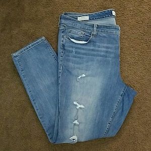 Skinny Jeans - Torrid