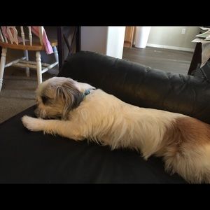 Meet your Posher, Bryan