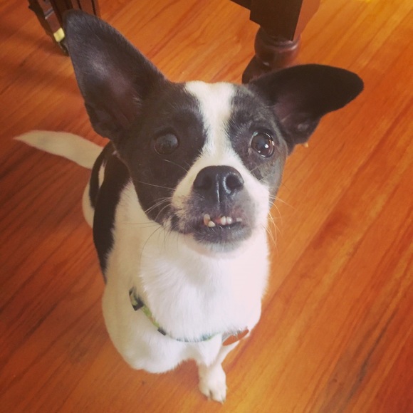 Meet your Posher, Natali - Picture 4 of 4