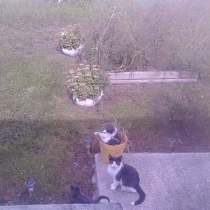 Meet your Posher, Lynn