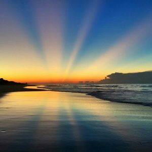 Meet your Posher, Hayley