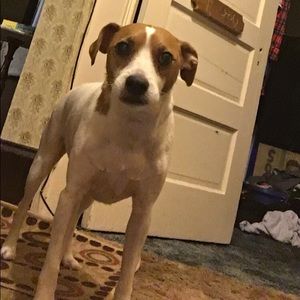 Meet your Posher, Sandy