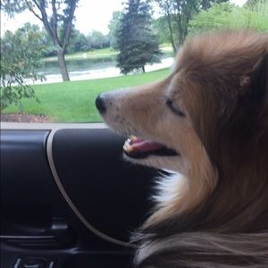 Meet your Posher, Aurelio