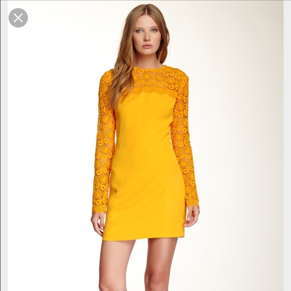 NWT Cynthia Steffe dress size 12
