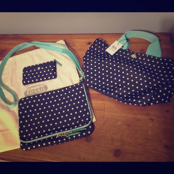 Beautiful Fossil Set