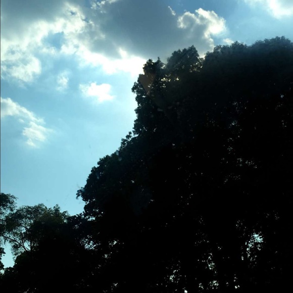 Meet your Posher, Carol