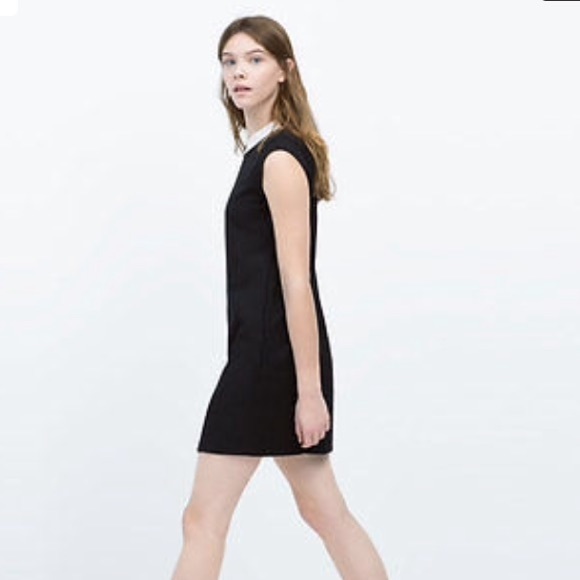 MINI DRESS WITH COLLAR DETAIL-NEW IN | ZARA Serbia