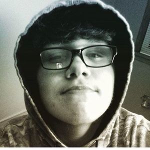 Meet your Posher, Gavin