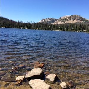 Meet your Posher, Elma