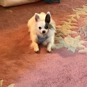 Meet your Posher, Jackie