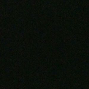 Meet your Posher, Lannisha