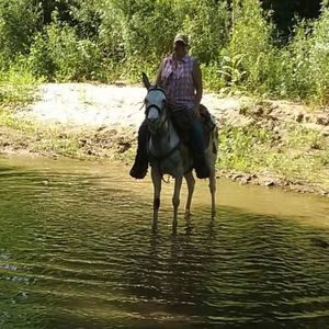 Meet your Posher, Betti