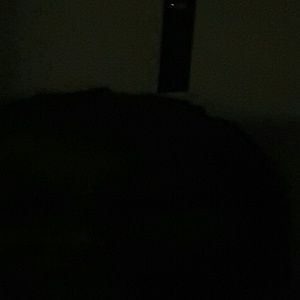 Meet your Posher, Loretta