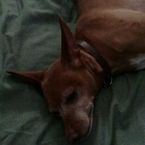 Meet your Posher, Gloria