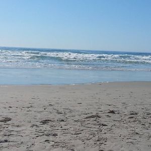 Meet your Posher, Sandi