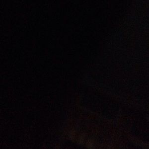 Meet your Posher, Vinny