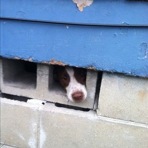 Meet your Posher, Tara