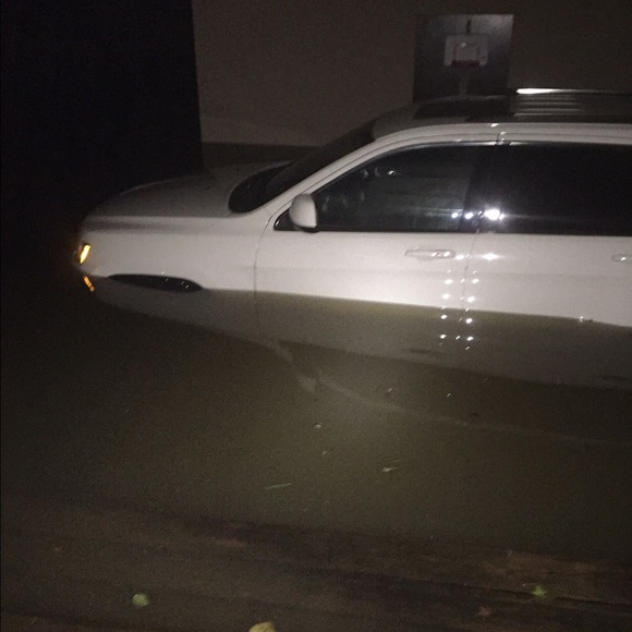 🙏🏽💞God bless my amazing Posh family!!!!💞🙏🏽 - Picture 4 of 4