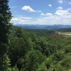 Meet your Posher, Ariel