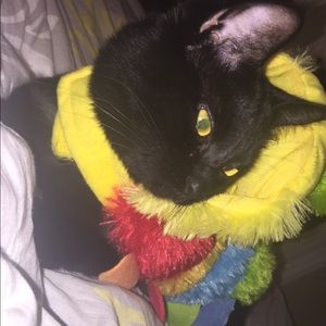 Meet your Posher, Aliyah