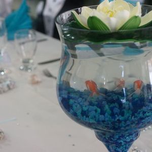 Meet your Posher, Marcus