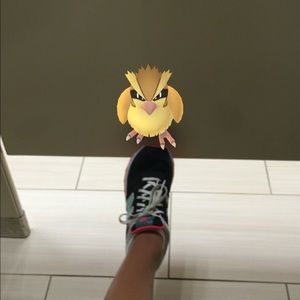 Meet your Posher, Suzana