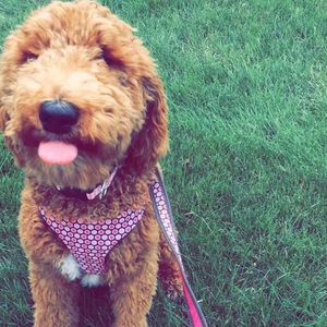 Meet your Posher, Brooke