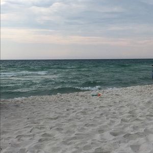 Meet your Posher, Molly