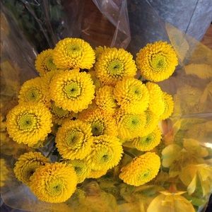 Meet your Posher, Kendra