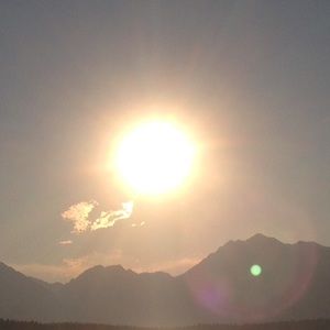 Meet your Posher, Ella