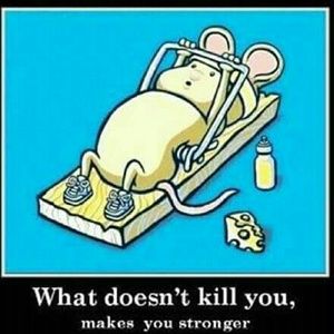 Meet your Posher, Alma