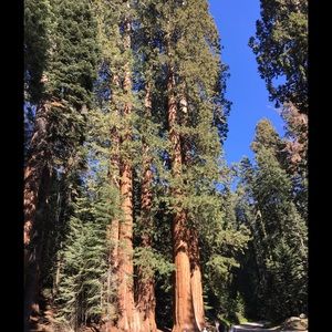 Meet your Posher, Bree